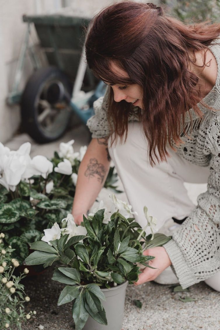 b171c642-900b-4542-b01a-05fbee06217a